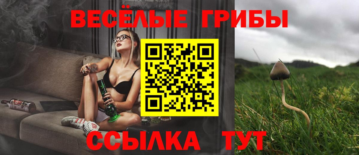 Псилоцибиновые грибы мухоморы  Вход с VPN  Новокубанск  где купить наркоту  Псилоцибиновые грибы Psilocybine cubensis 